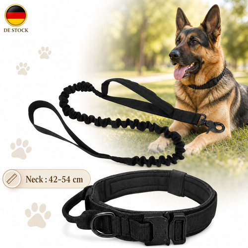 Guinzaglio per cani - guinzaglio,