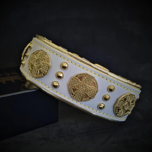 Collari per caniil collare - collari,
