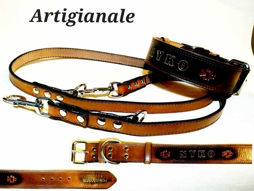 Abbinamento collare - abbinamento,