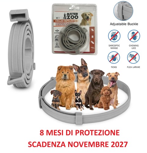 Collari per cani oltre - cani,