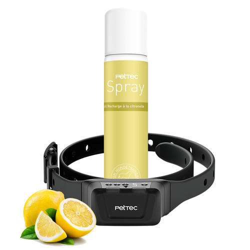 Pettec collare anti - collare, bell