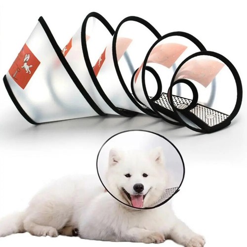 Collare cono per cani - cono, e