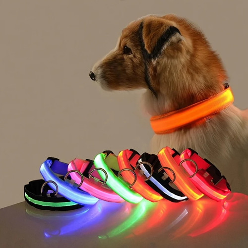 Collare cane led luminoso - collare,
