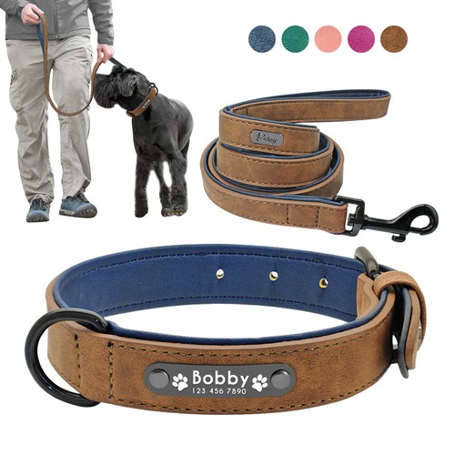 Collare guinzaglio per cani - collare,