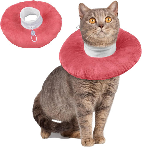 Collare protettivo gatto - protettivo,