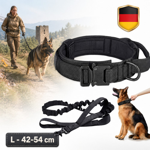 Collare per cani guinzaglio - collare,