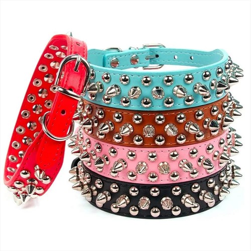 Collare cane borchiato punta - collare,