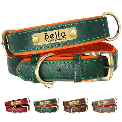 Collare pelle per - collare, cane