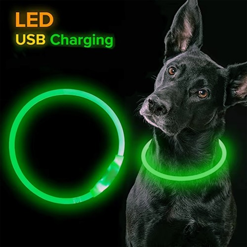 Collare led per cani usb - collare,