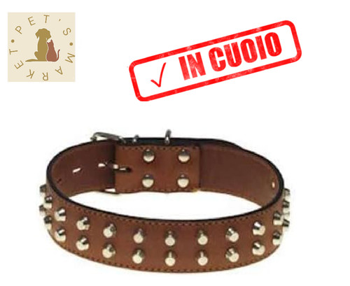 Collare per cane - in, con