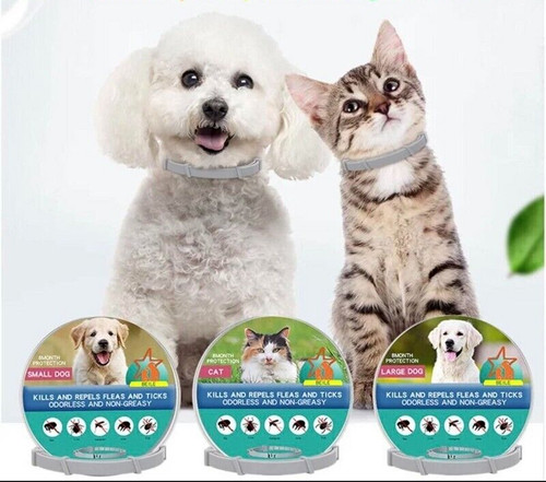 Collare antiparassitario gatto - collare,