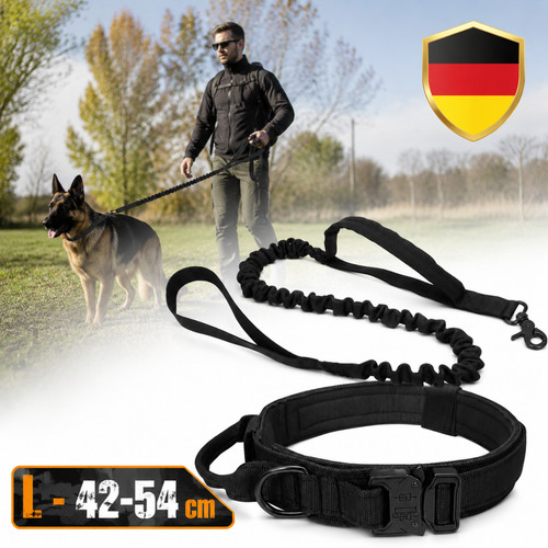 Collare tattico per cani - collare,