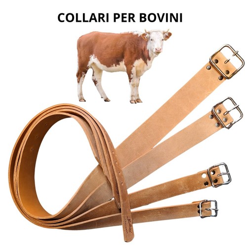 Collana collare collari per