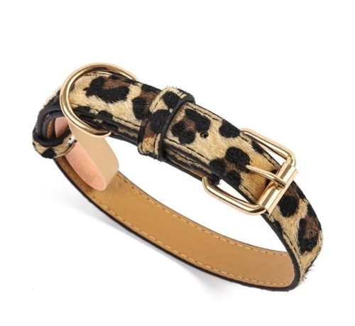 Collare cane leopardato fibbia - collare,