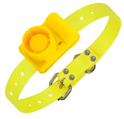 Collare beeper cane caccia - beeper, da