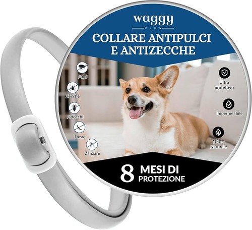 Collare antiparassitario pulci - collare,